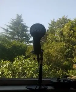 Voice Over Uk Native English Voice Over Pic of microphone out of the studio looking out into nature (my fig tree)